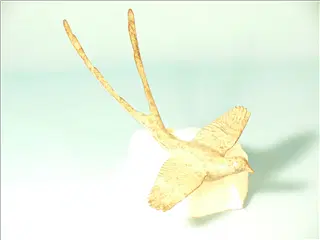 small_Sculpture 9-2005 023.webp